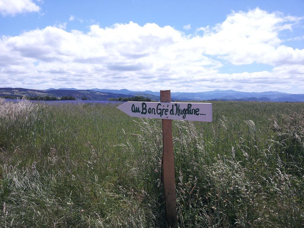 Blanzac  Au Bon Gre D'Hugoline B&B 외부 사진