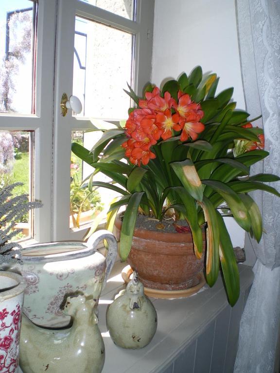 Blanzac  Au Bon Gre D'Hugoline B&B 외부 사진